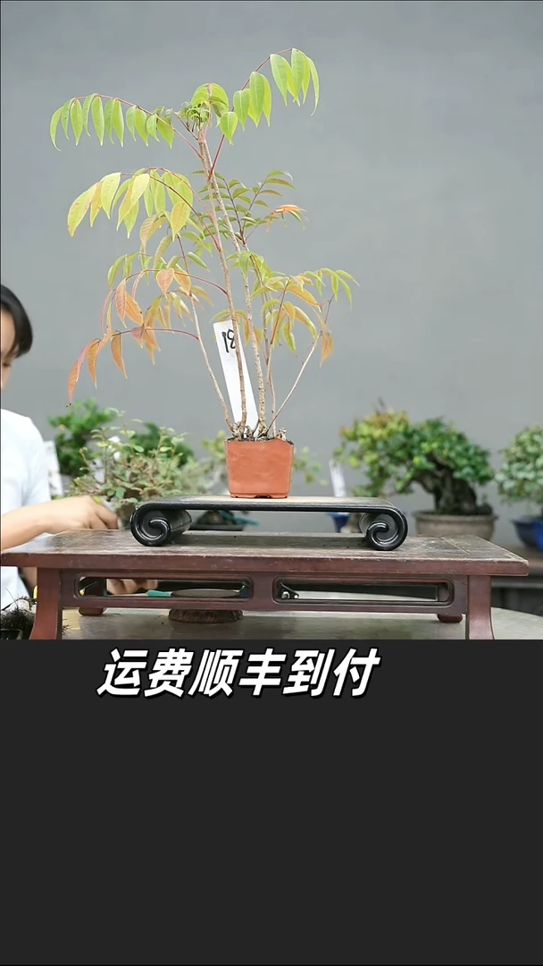 陶***课18