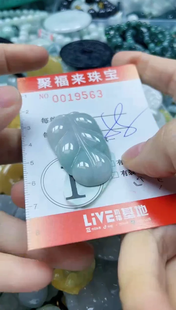 【闪购商品】翡翠颈饰未镶嵌闪购0019563