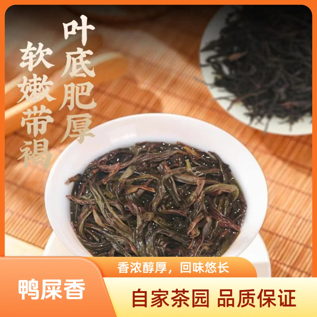 鸭屎香潮州凤凰单丛春茶乌龙茶银花香鸭屎香潮州单丛凤凰茶