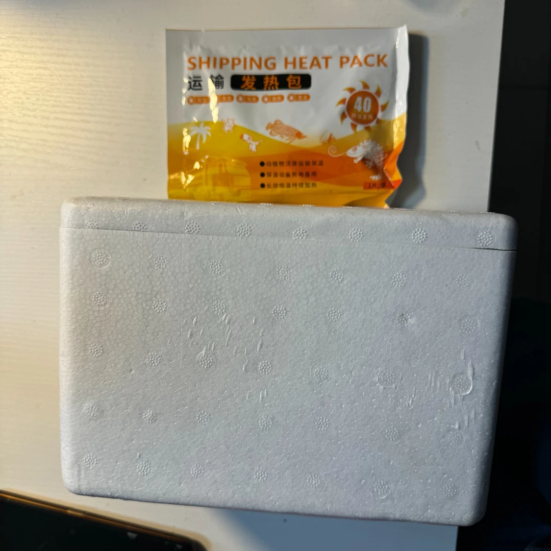 瑕疵龟龟福利款无售后