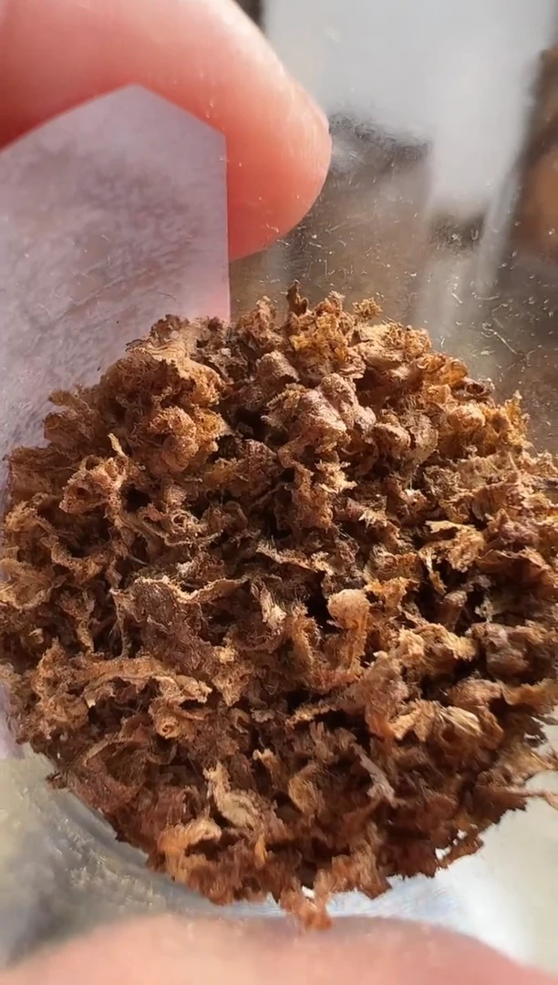 沉香碎屑沉香达拉干沉水勾丝1克多样性