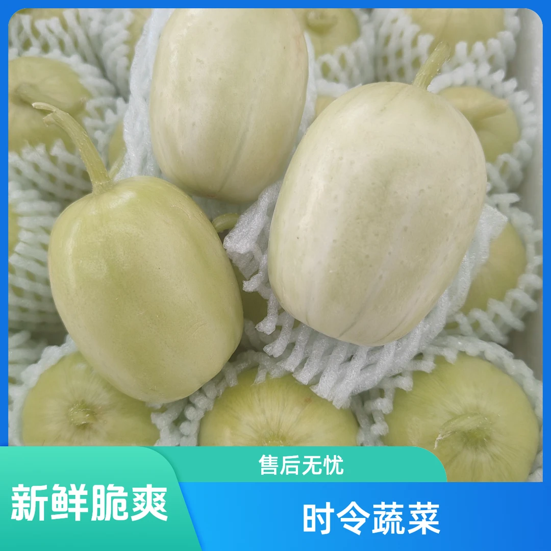白玉黄瓜500克±10克