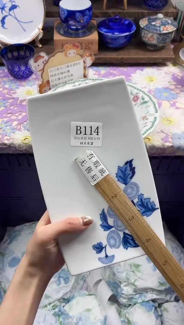 瓷片至***真                B114