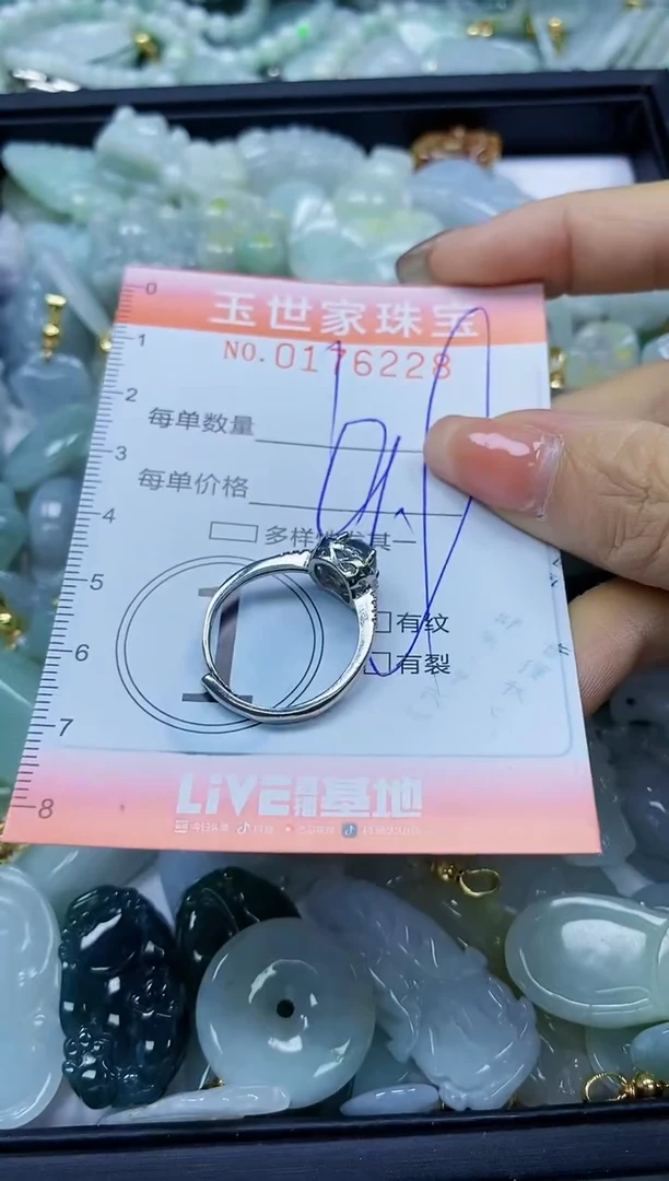 【闪购商品】翡翠颈饰未镶嵌闪购商品00176227