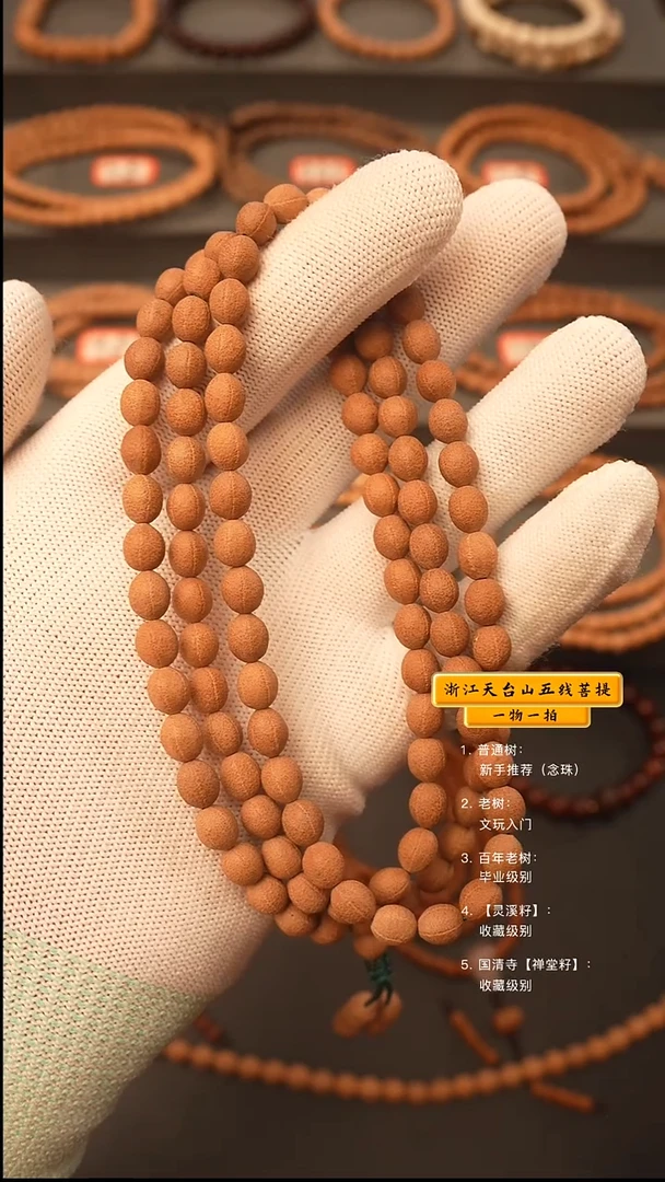 吊坠五线菩提脖挂