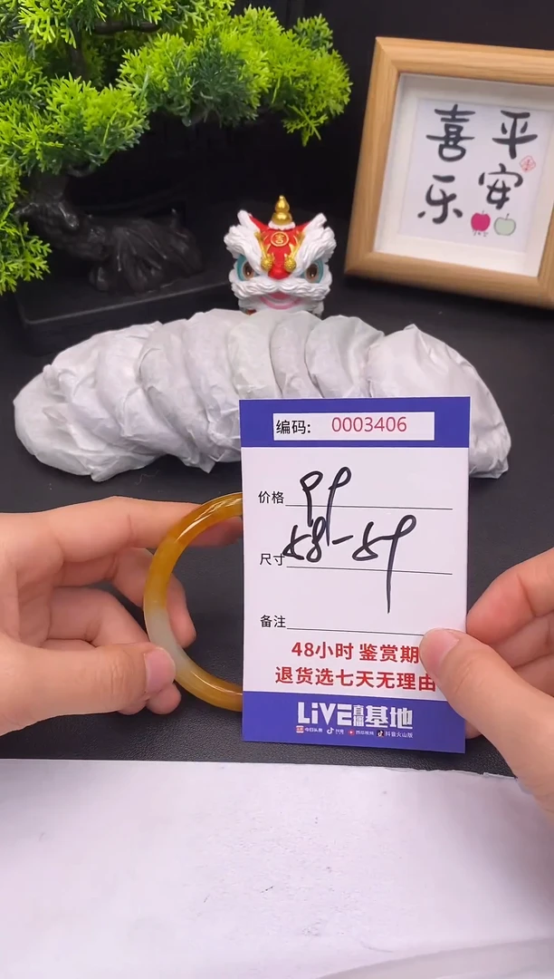 未镶嵌手镯翡翠0003406