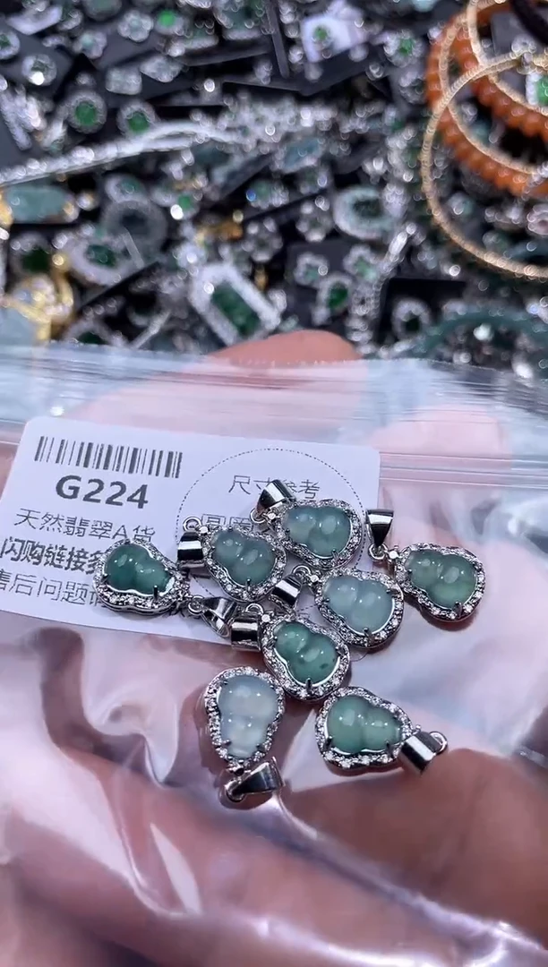 【闪购商品】翡翠颈饰未镶嵌G224多样性发其一