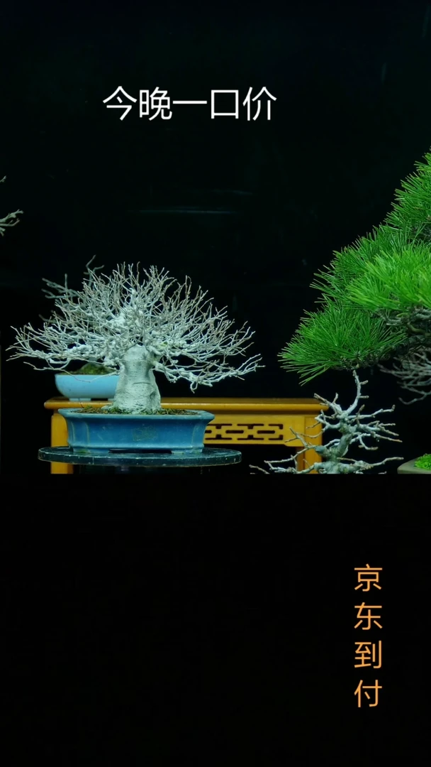 【闪购商品】000000