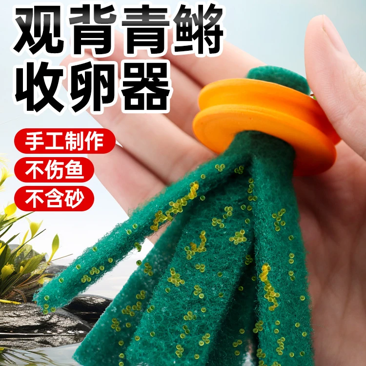 自制观背青鳉收卵器鱼卵收卵器取卵器鱼卵收集器