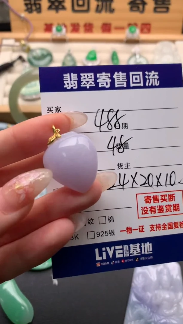 翡翠18K金镶嵌颈饰10136133