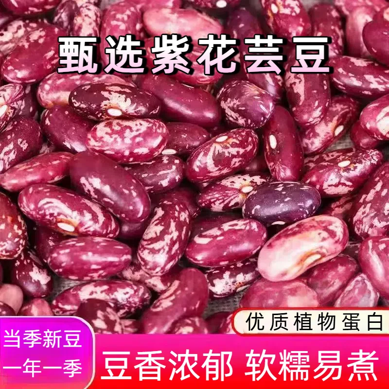 花芸豆 东北紫花芸豆 红芸豆大芸豆紫芸豆营养杂粮高蛋白煮粥煲汤