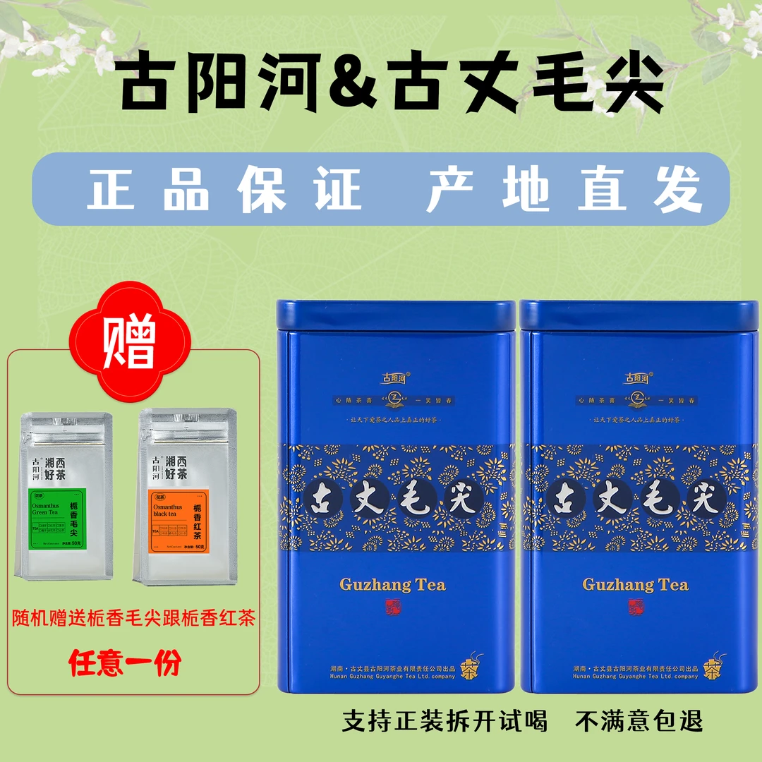 【湖南省首届村播大赛决赛专属】高山明前毛尖茶湘西古丈特产