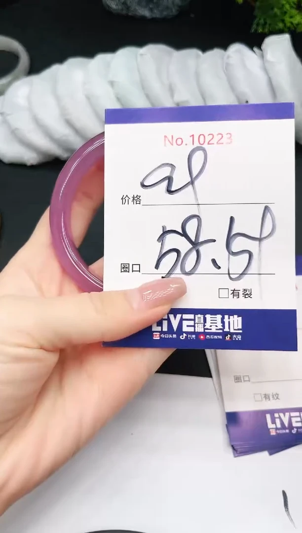 未镶嵌手镯翡翠10223