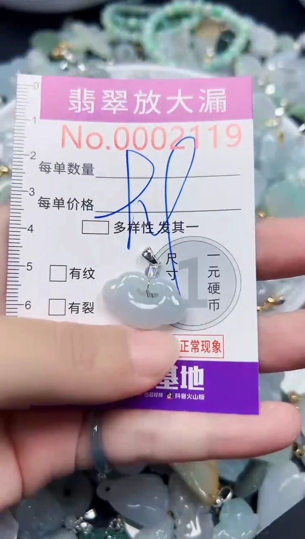 颈饰未镶嵌翡翠2119