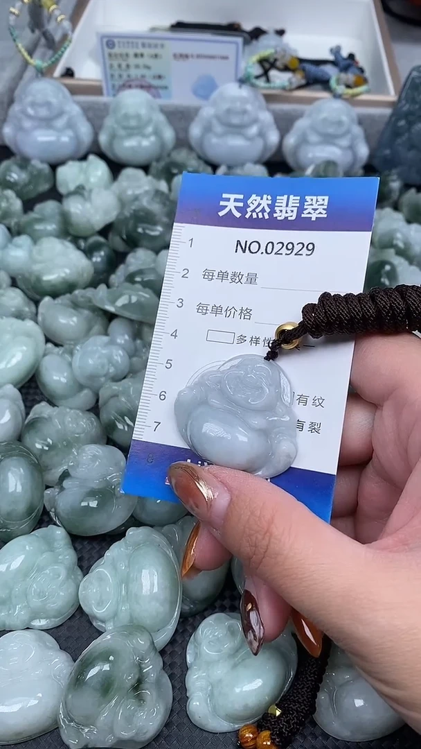 颈饰未镶嵌翡翠纯天然A货翡翠2929