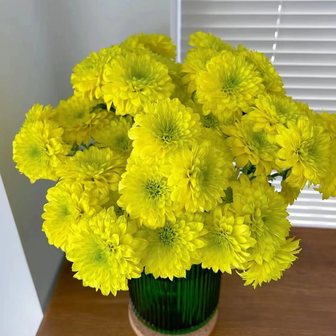 【顺丰发货】芒果绿雏菊鲜花1-4单一个运费自选品种