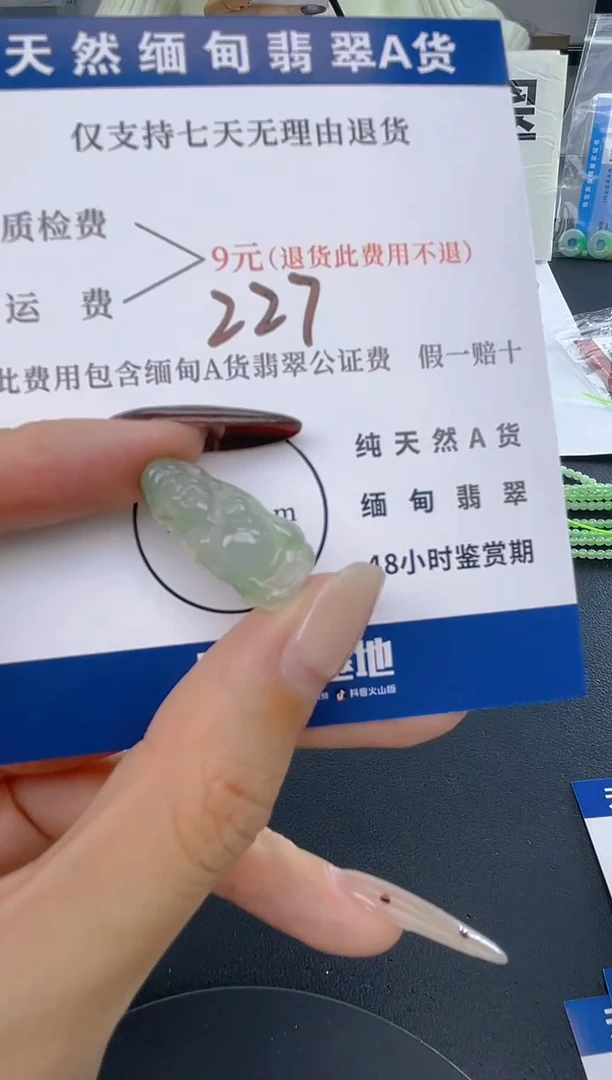 颈饰未镶嵌翡翠是