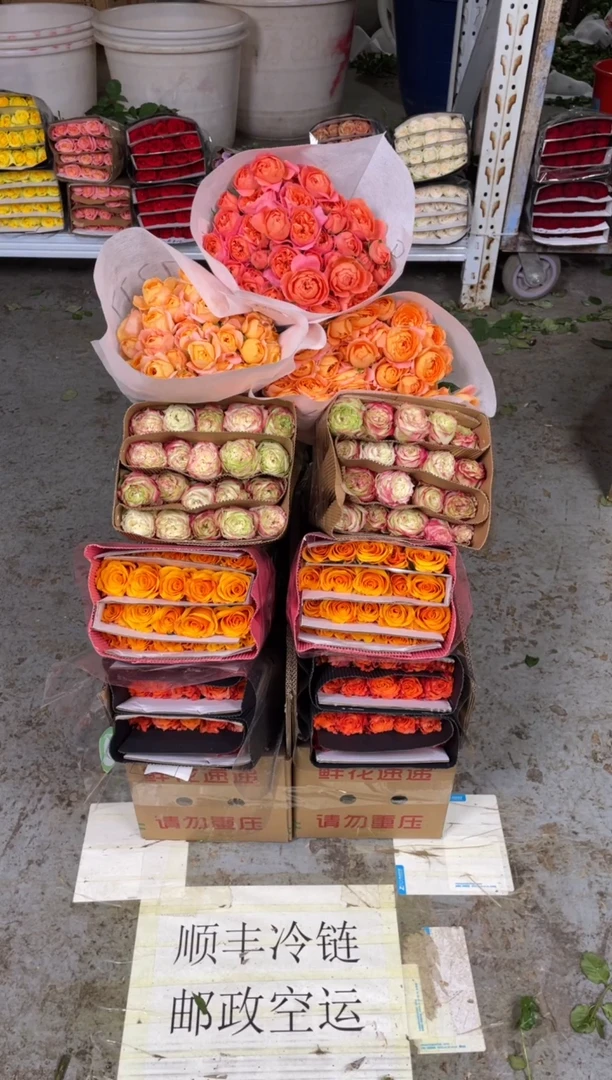 火灵鸟20枝+辉煌20枝+苹果杰克20枝+果汁阳台10枝+红果汁10枝