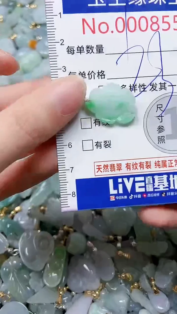 【闪购商品】翡翠颈饰未镶嵌闪购00008554