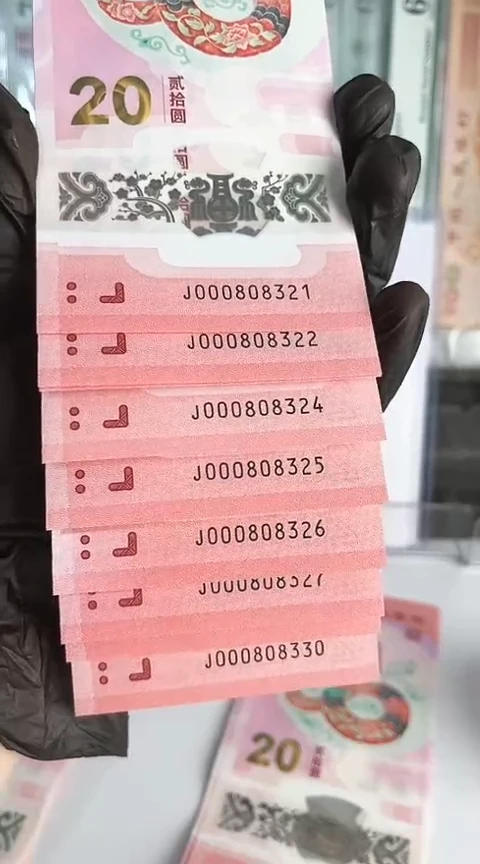 【闪购商品】塑料蛇钞标十号码000808321-30