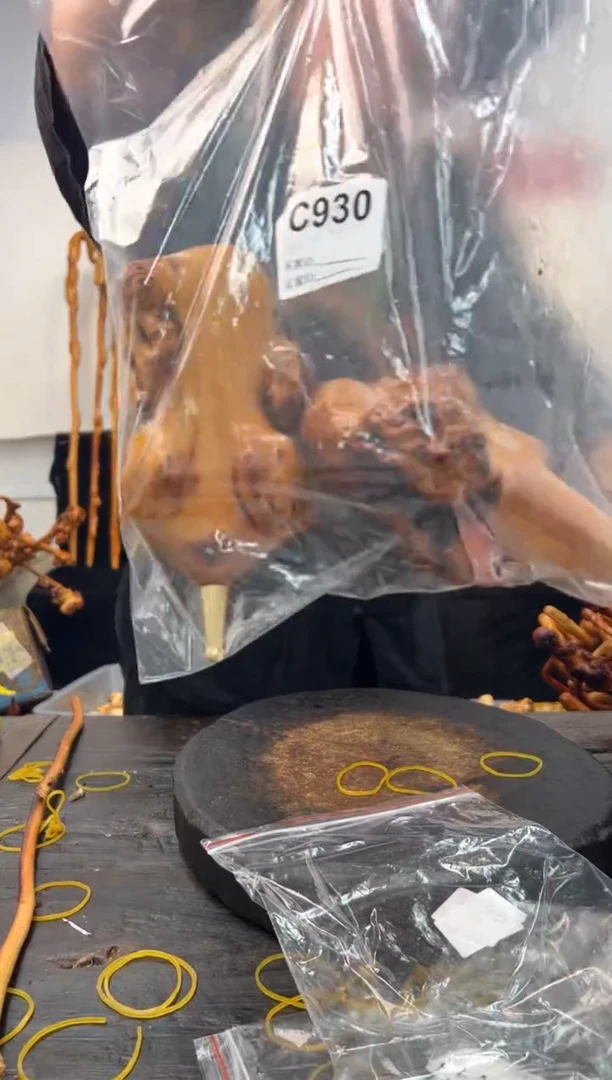 黑果木其他黑果木075