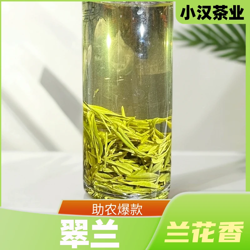 小汉（云雾本色） A12 2024新茶鲜爽甘甜毛峰  高山绿茶袋装