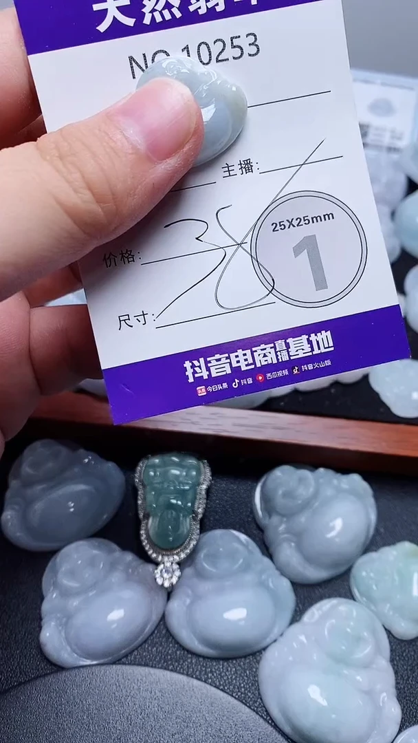 翡翠未镶嵌吊坠(赠链)253