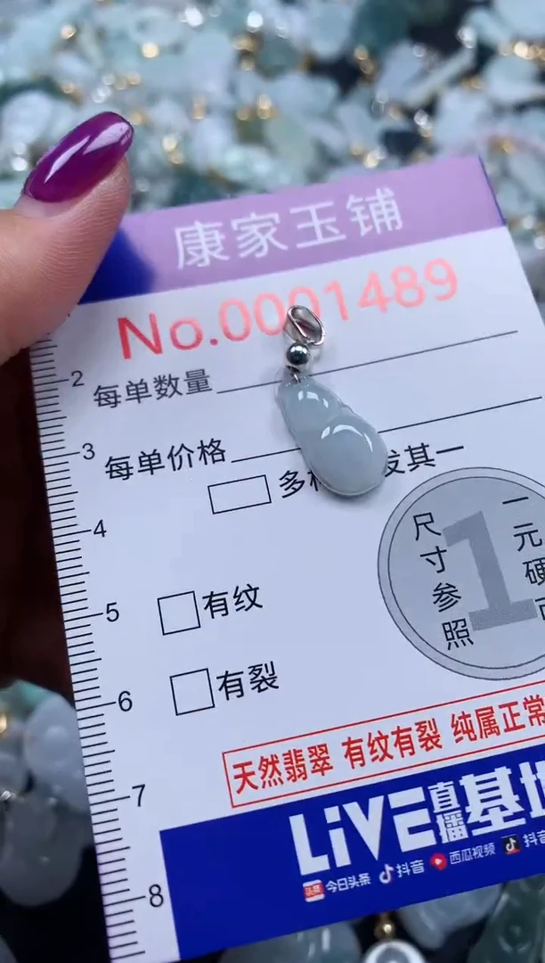 颈饰未镶嵌翡翠1489