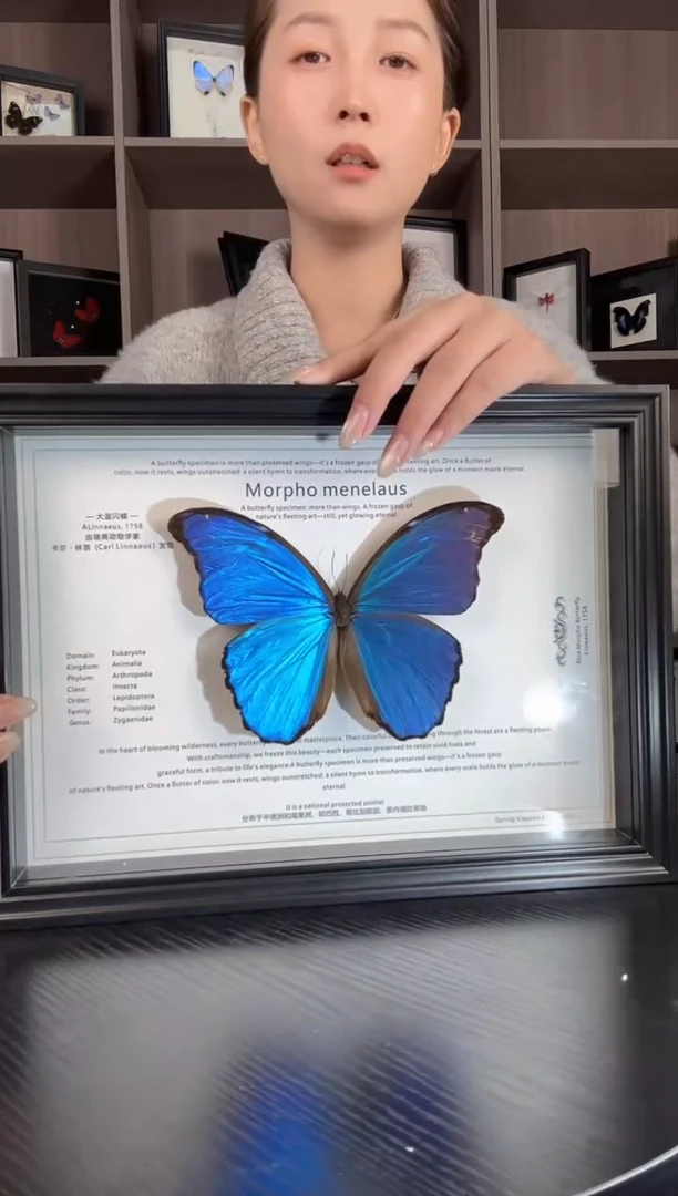 实木竖款横版大蓝闪蝶（蝴蝶装饰画A4框）