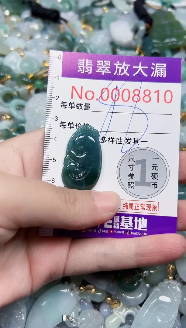 颈饰未镶嵌翡翠8810
