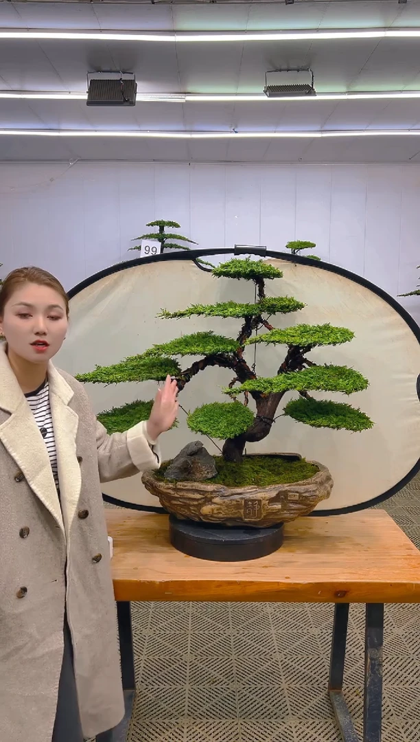 无花朵一物一拍一物一拍