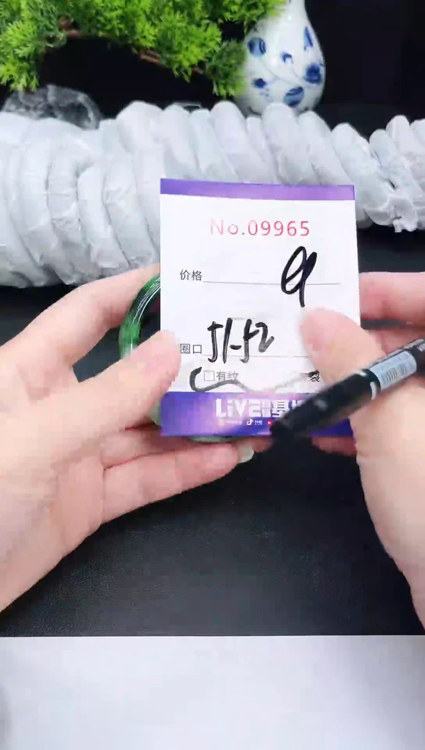 未镶嵌手镯翡翠9965