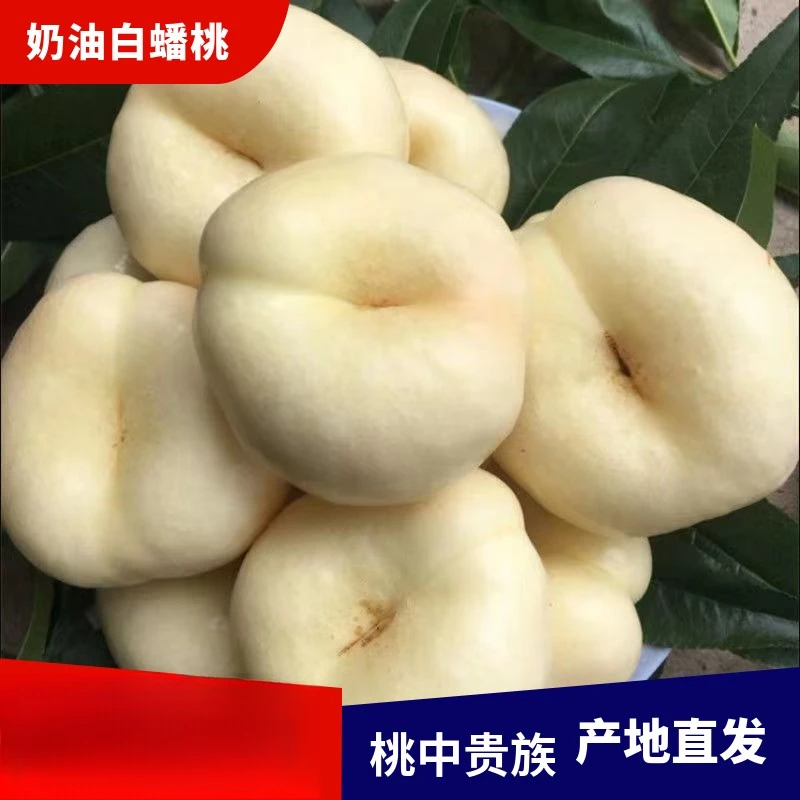 【顺丰速运】蒙阴奶油蟠桃应季新鲜水果整箱新鲜桃子水果脆甜蜜桃