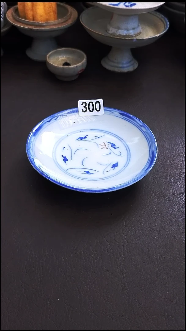 陶小*毛佳瑜家漂漂亮亮的瓷器编号300