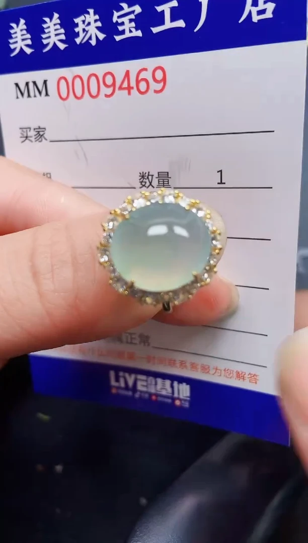 翡翠银S925镶嵌颈饰9469