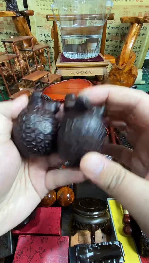 木金钱龟2直播推荐直播推荐