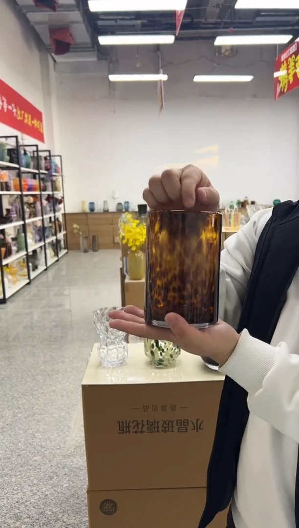 水养鲜花干花插花客厅装饰品