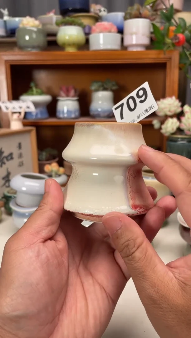 瓷片709知木花盆小芳