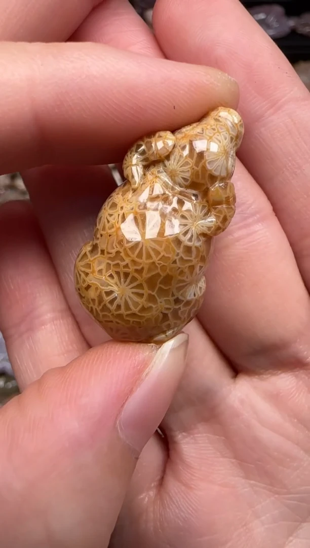 硅化珊瑚（珊瑚玉）未镶嵌颈饰203