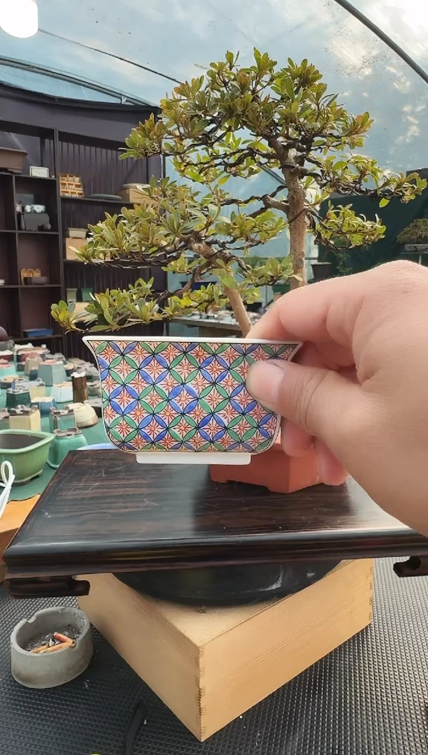 冰***宝花盆闪购定向链接