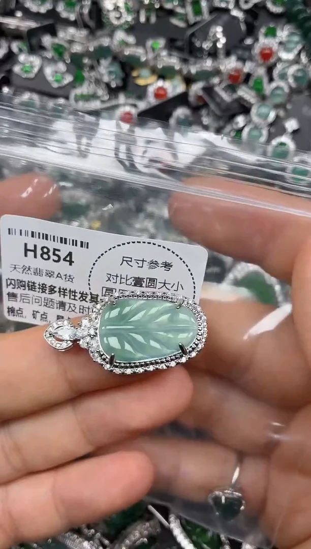 颈饰未镶嵌翡翠H854吊坠