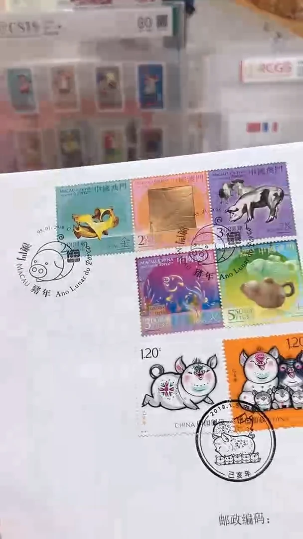 中澳联合四轮生肖猪PTF-1经典合集合集