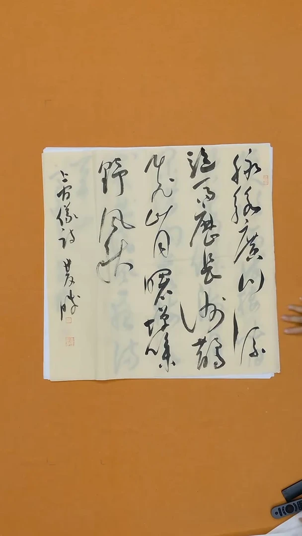 书法崔双胜68*68 甘肃  第三届草书
