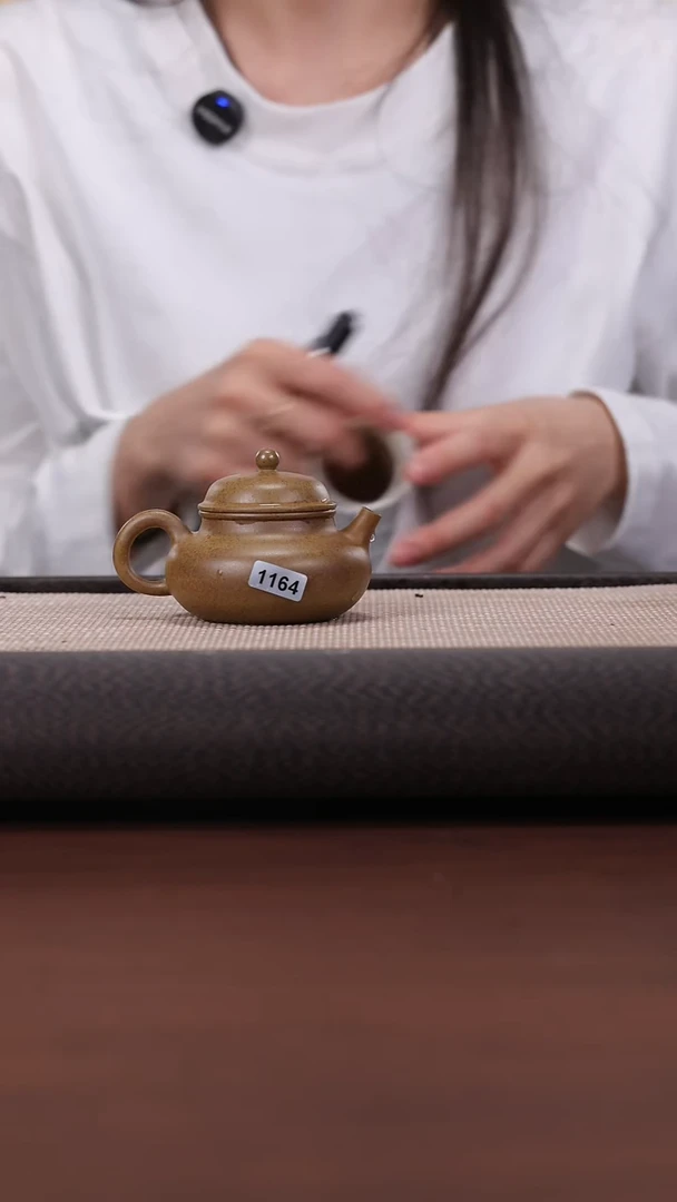 【闪购商品】紫砂茶壶1164WZ 柴烧 容天 120cc