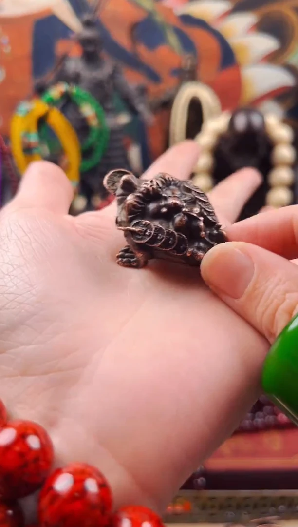 【闪购商品】飞姐专属精品推荐113