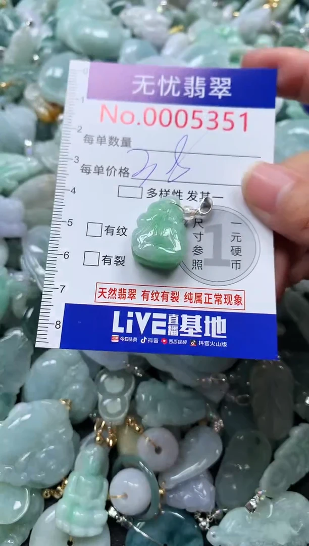 颈饰未镶嵌翡翠5351