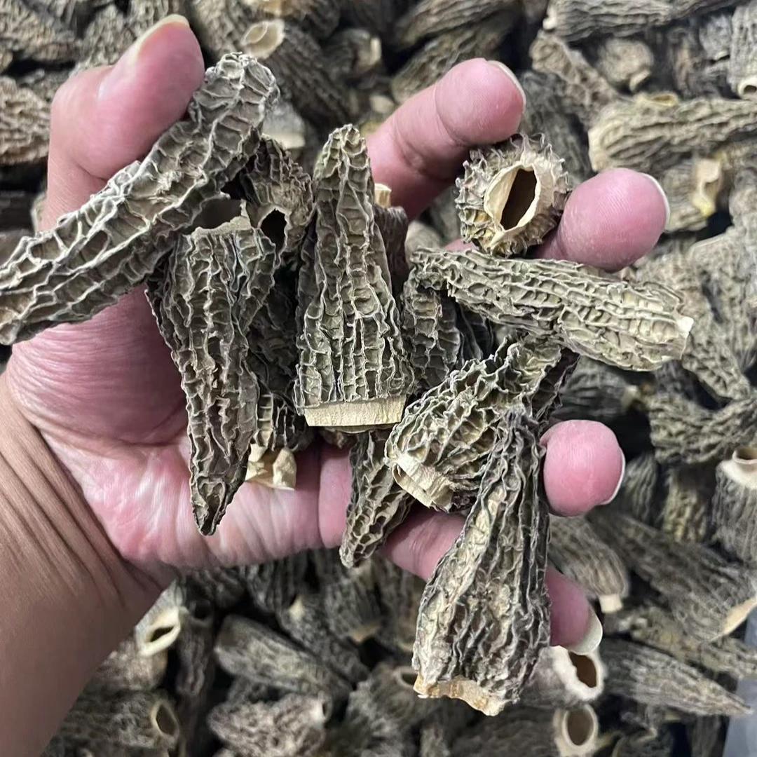 福利剪脚羊肚菌干货5-7公分菌菇羊肚菇煲汤食用菌食材煲汤
