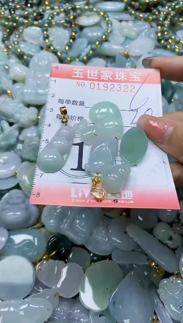 【闪购商品】翡翠颈饰未镶嵌闪购0192322