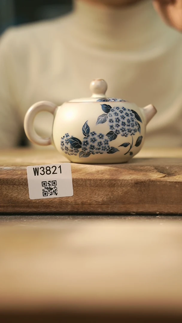 【闪购商品】【经典福利】/ 壶@@W3821