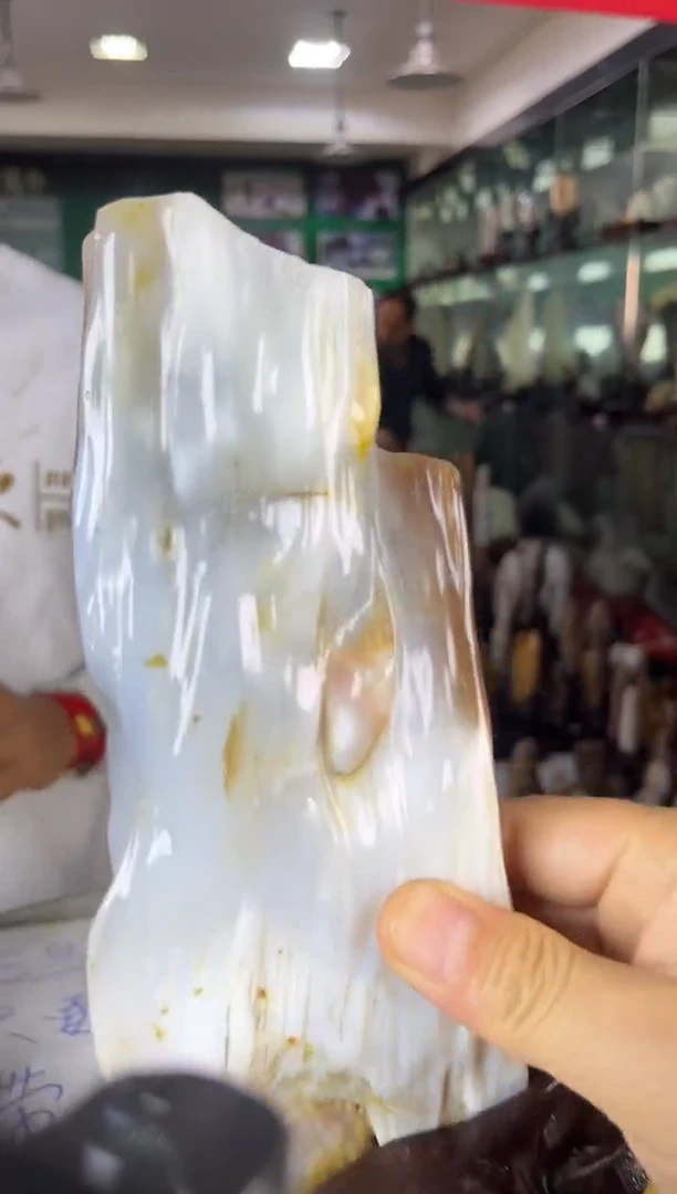 未镶嵌珠宝奇石硅化玉缅甸天然树化玉精品居家摆件